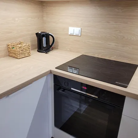 Wilda Corner Street View Apartment *