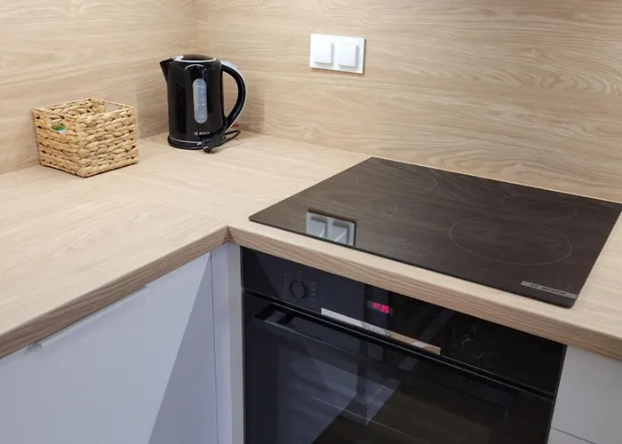 Wilda Corner Street View Apartment *