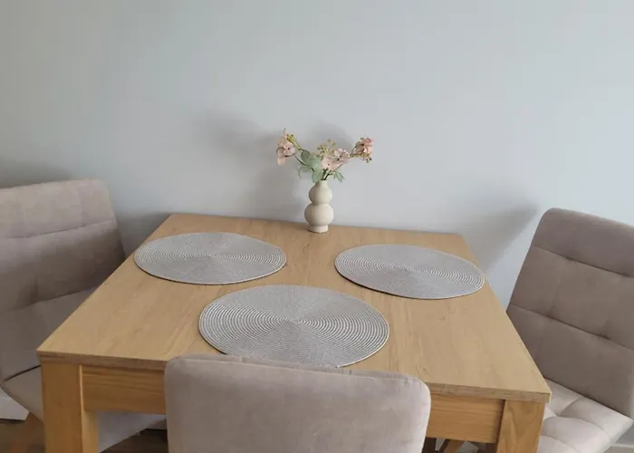 Wilda Corner Street View Apartment